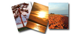 PEI Waterfront Property