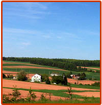 River Point Estates - The Area